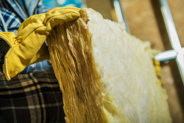 Best Insulation Installation Services in Thonotosassa, FL