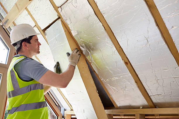 Best Commercial Insulation in Thonotosassa, FL