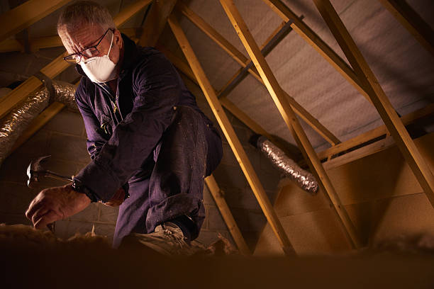 Best Insulation Materials and Products in Thonotosassa, FL