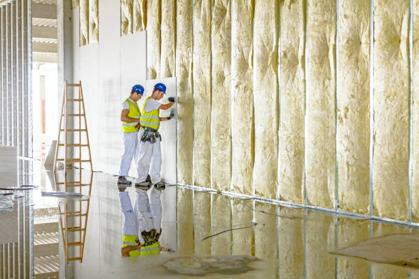 Best Residential Insulation in Thonotosassa, FL